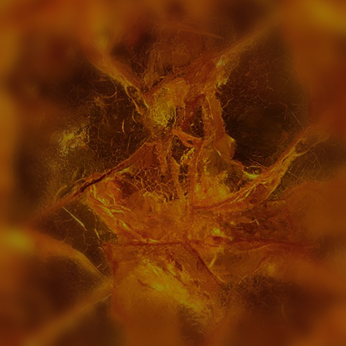 FRANKINCENSE