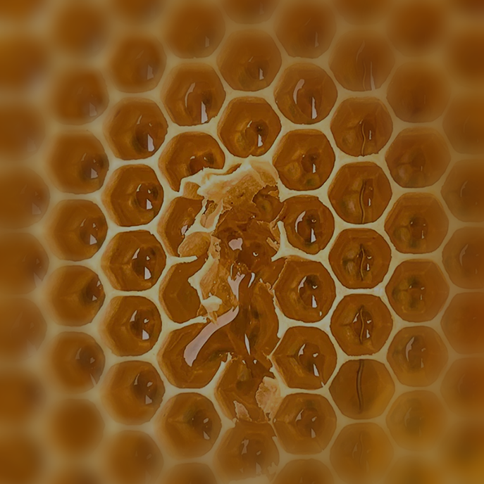 HONEY
