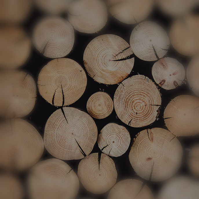 BIRCH