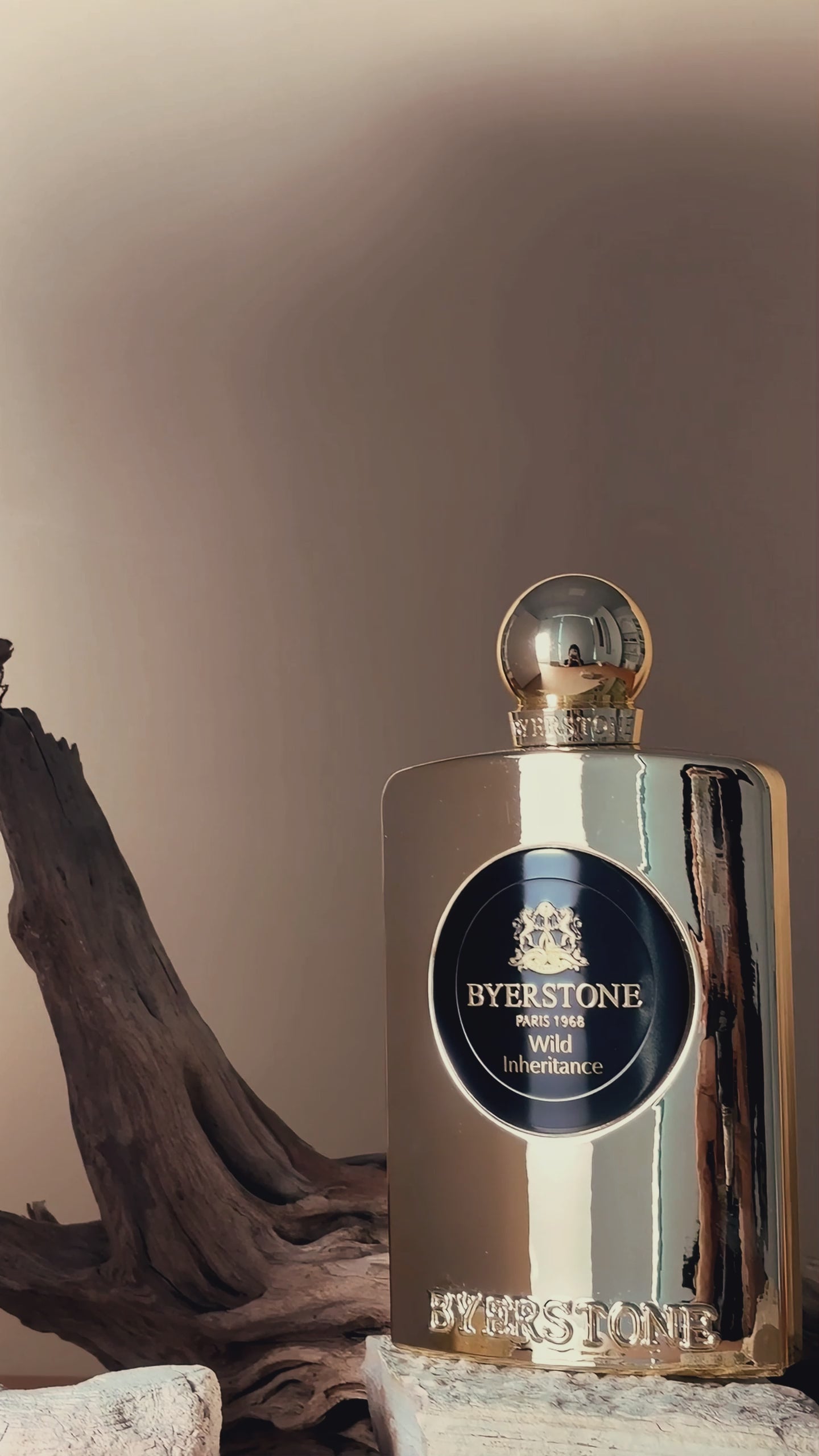 WILD INHERITANCE - BYERSTONE