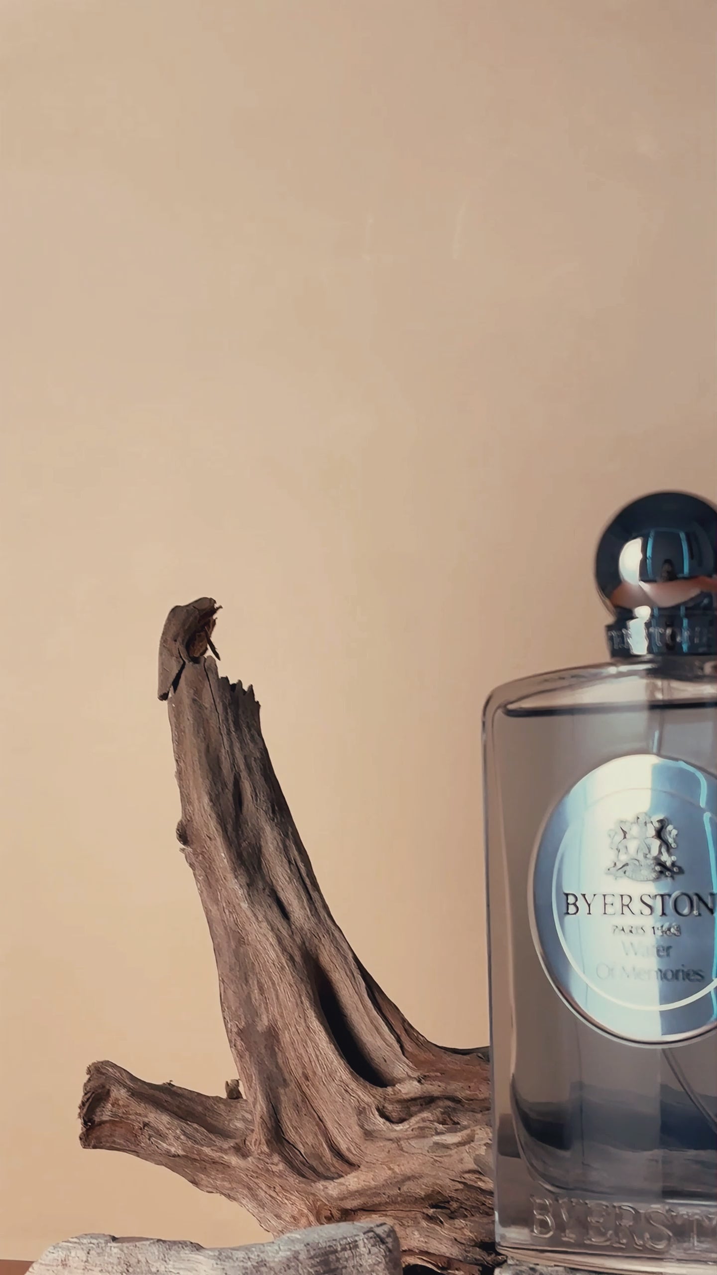 WATER OF MEMORIES - BYERSTONE