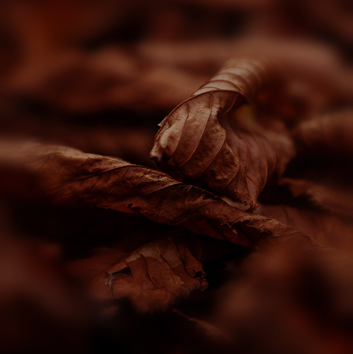 TOBACCO
