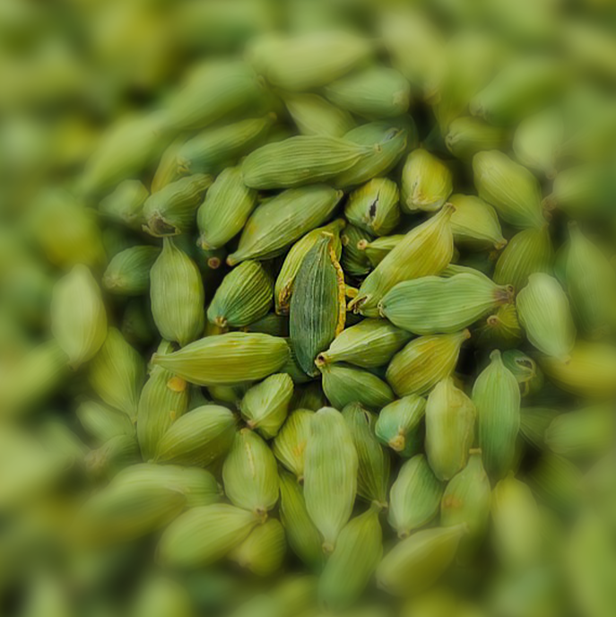 CARDAMOM