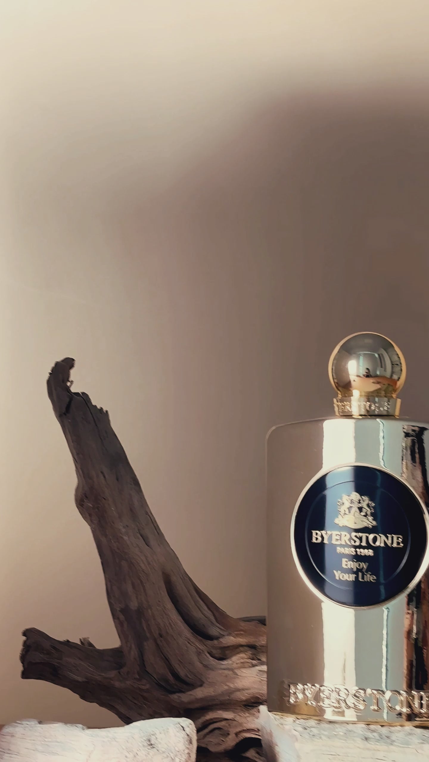 ENJOY YOUR LIFE - BYERSTONE